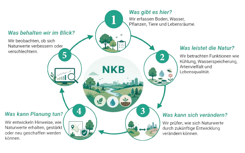 Naturkapitalbilanzierung Kreislauf