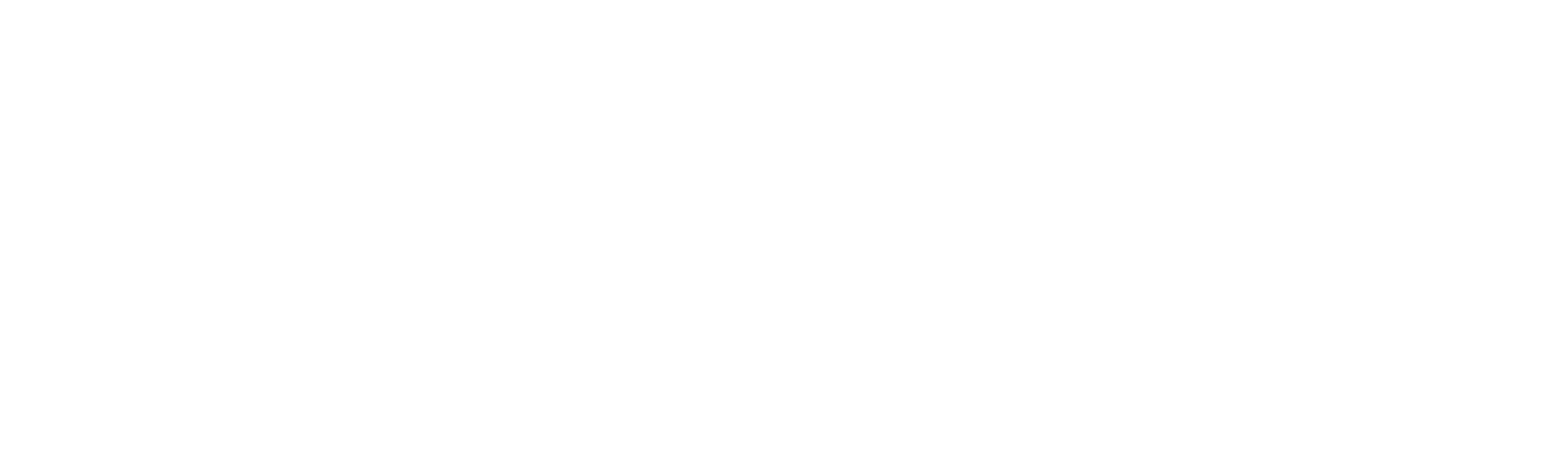 Logo diwokiel 